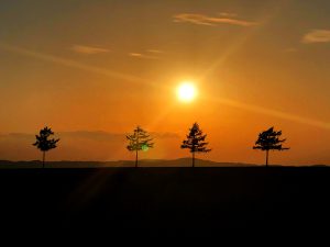 北海道観光メルヘンの丘