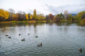 2019.10.12 中島公園02