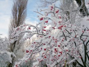 2019.11.20 札幌市内01