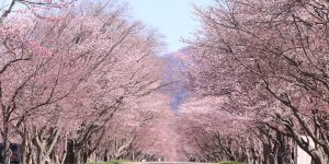 2022.04.22 浦河町