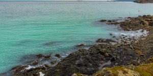 2026.02.12 春を告げる現象：群来